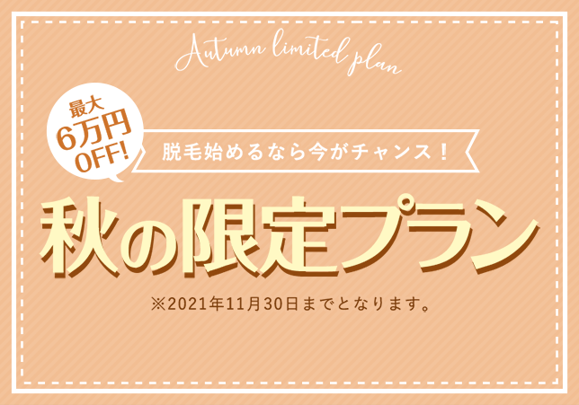 秋の限定プラン