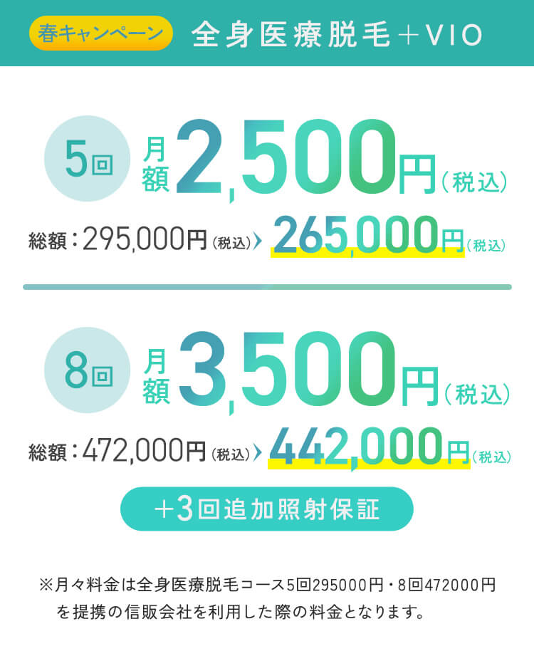 vioを含む全身医療脱毛の都度払い,5回コースの料金プラン